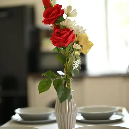 в центъра на търново *