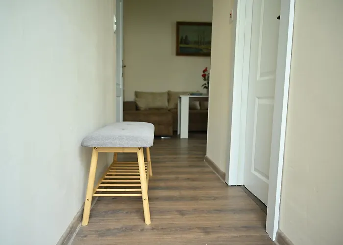 в центъра на търново *