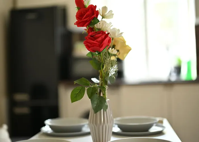 в центъра на търново *